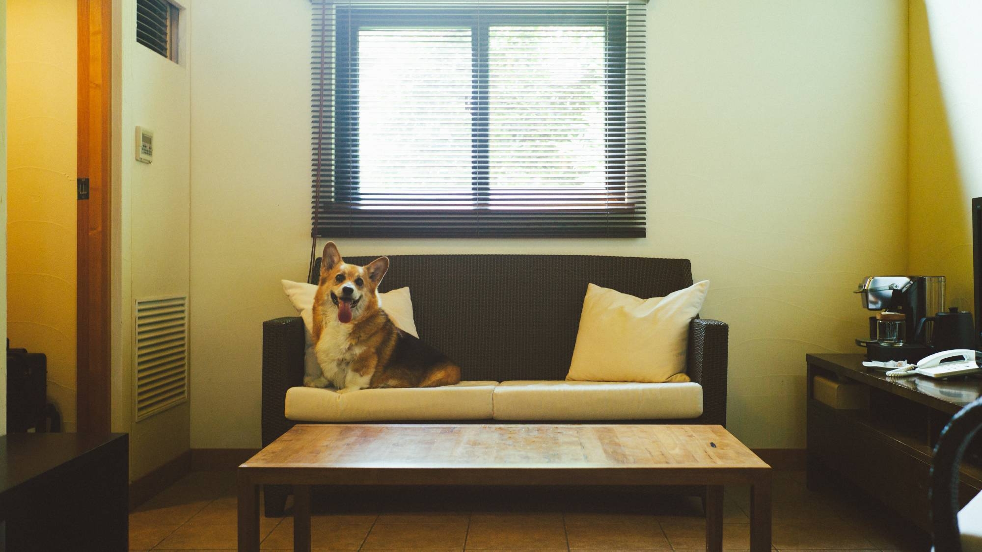 ドッグフレンドリーヴィラツインルーム