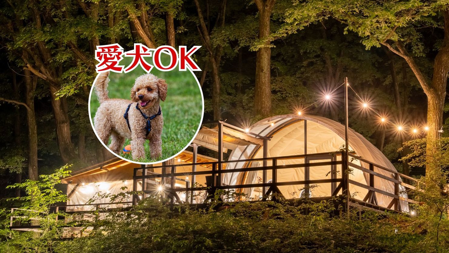 【愛犬OK／冷暖房完備／最大6名】シェルテント(ダブル2台)