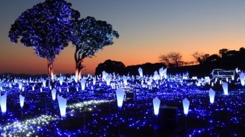 都心からひとっ飛び！家族でワクワク牧場探検《マザー牧場入場券付き☆》１泊朝食付き