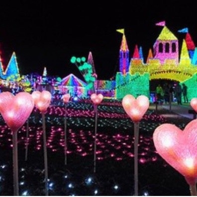 東京ベイプラザホテル 関東3大イルミネーション!東京ドイツ村入場券付きプラン【素泊まり】