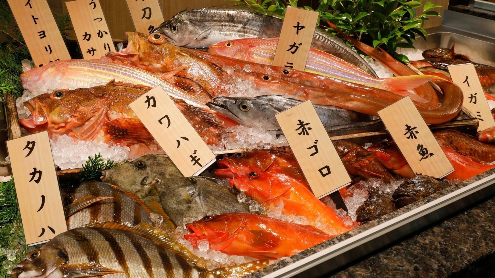 【夕食のみプラン◆レストラン食】朝食なしでゆったり満喫！大切な愛犬と一緒に愉しむ創作和食会席ディナー