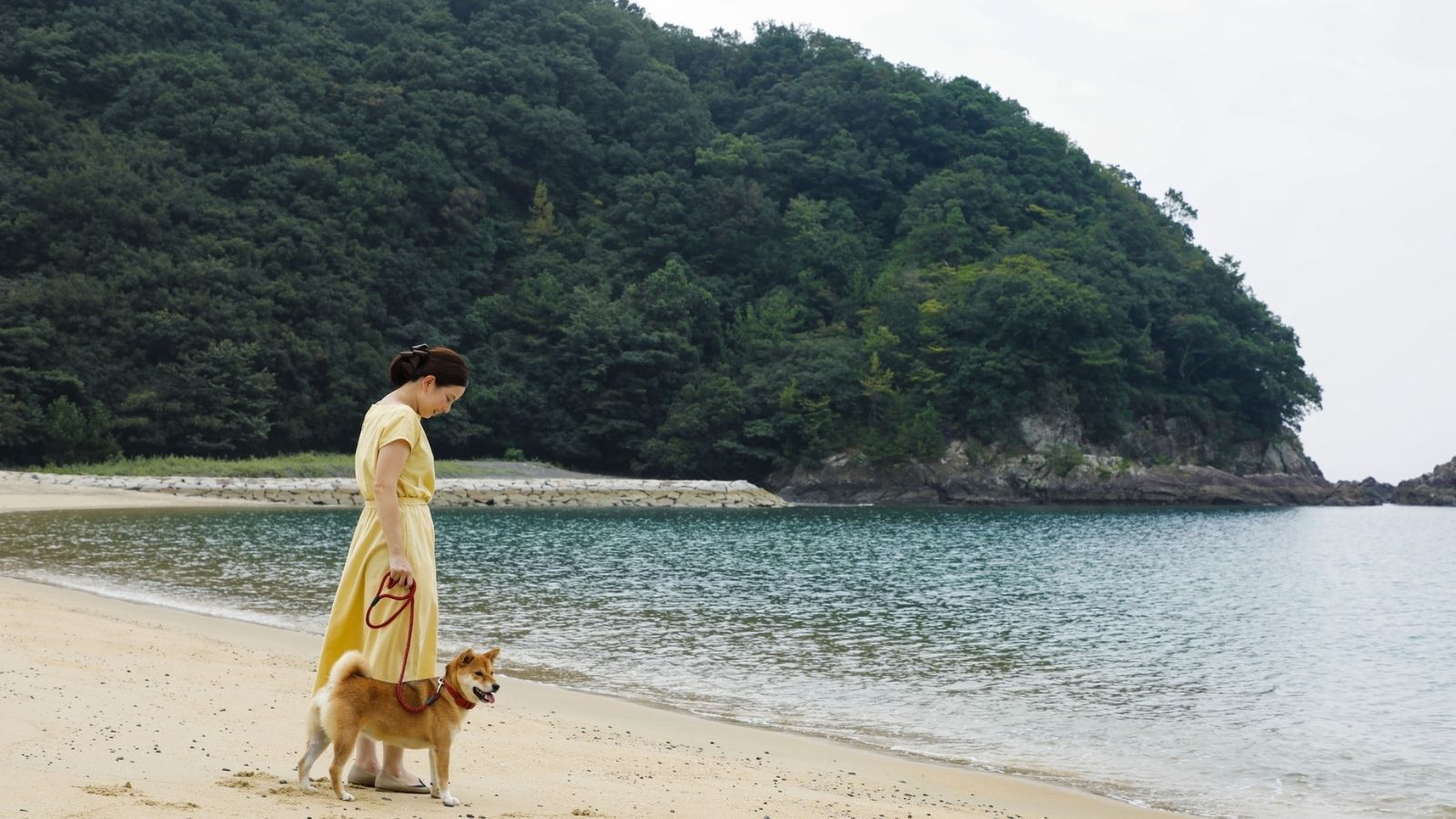 ロングステイプラン【素泊まり】愛犬と海と森のリゾートで格安に長期滞在を！