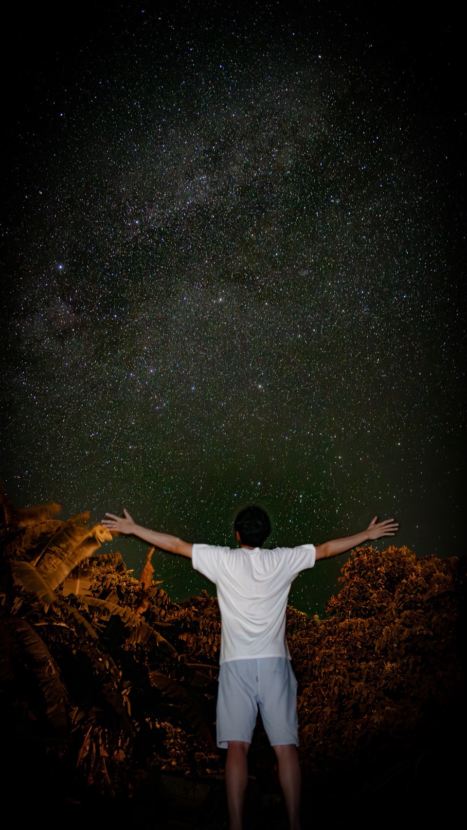 夜は満天の星空のプラネタリウム！
