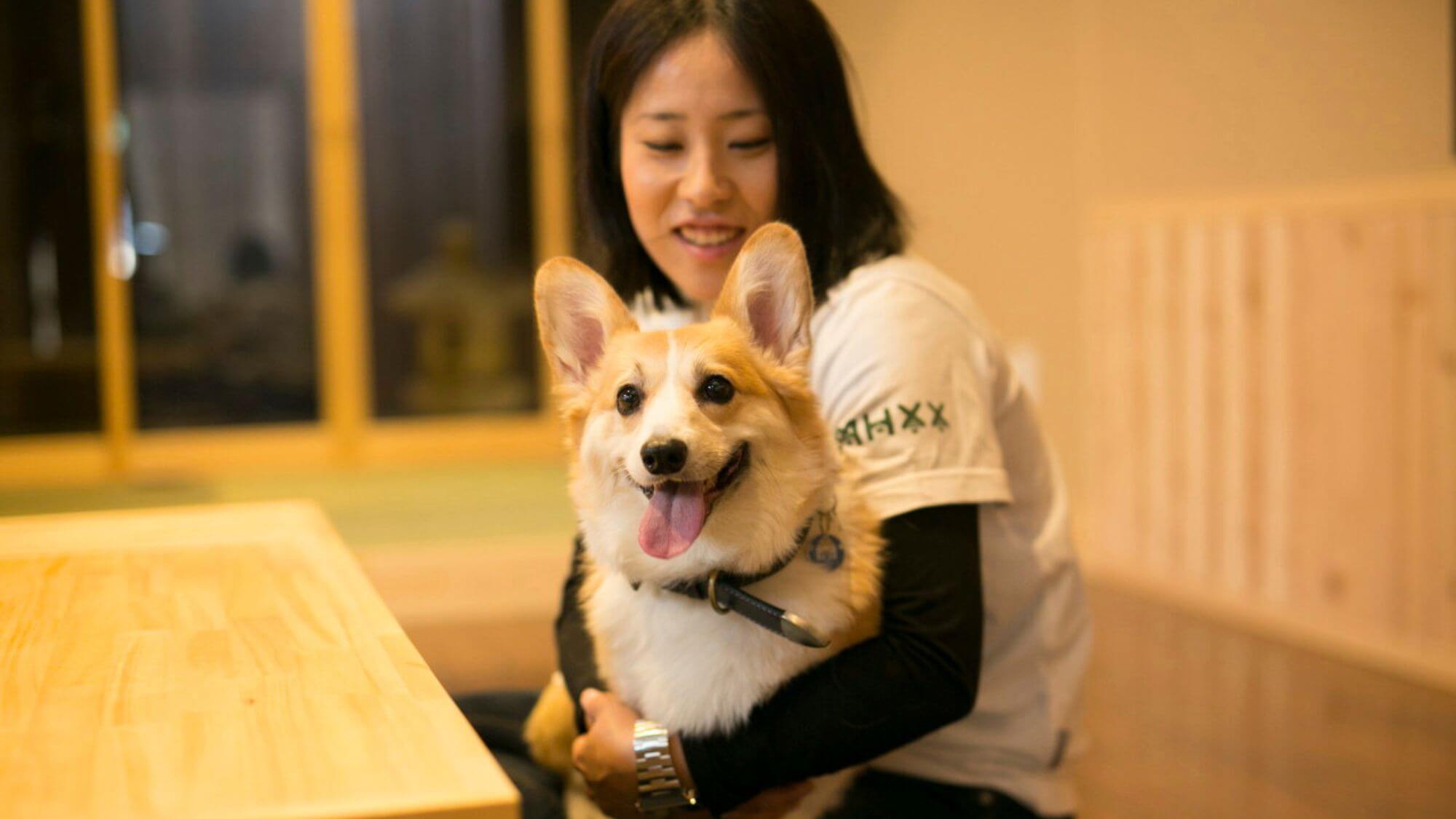 【ドッグフレンドリーの宿】愛犬と一緒に、歴史ある京の町並み散策をお楽しみください。