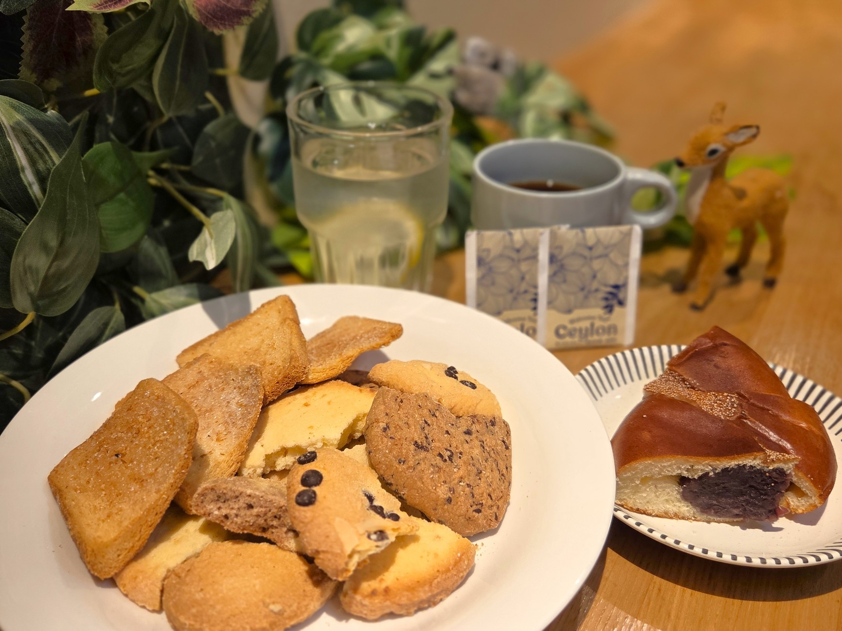 【またきてな関西旅】事前決済限定　キャンセル不可プラン【厚切り生食パンのモーニング付き】