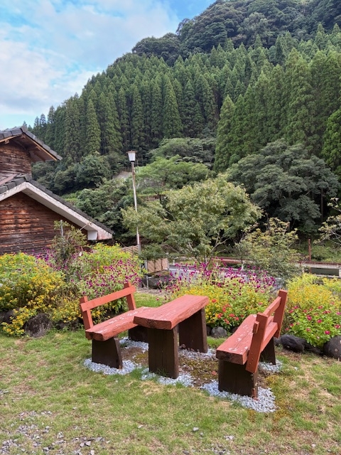【肉も魚も食べられる♪】スタンダードコース☆