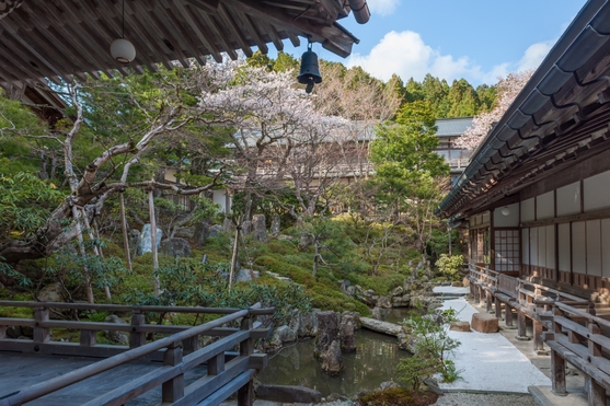 【（松）精進料理の二食付プラン】＜庭園を望む貴賓室C＞真田幸村ゆかりの寺院で歴史探訪