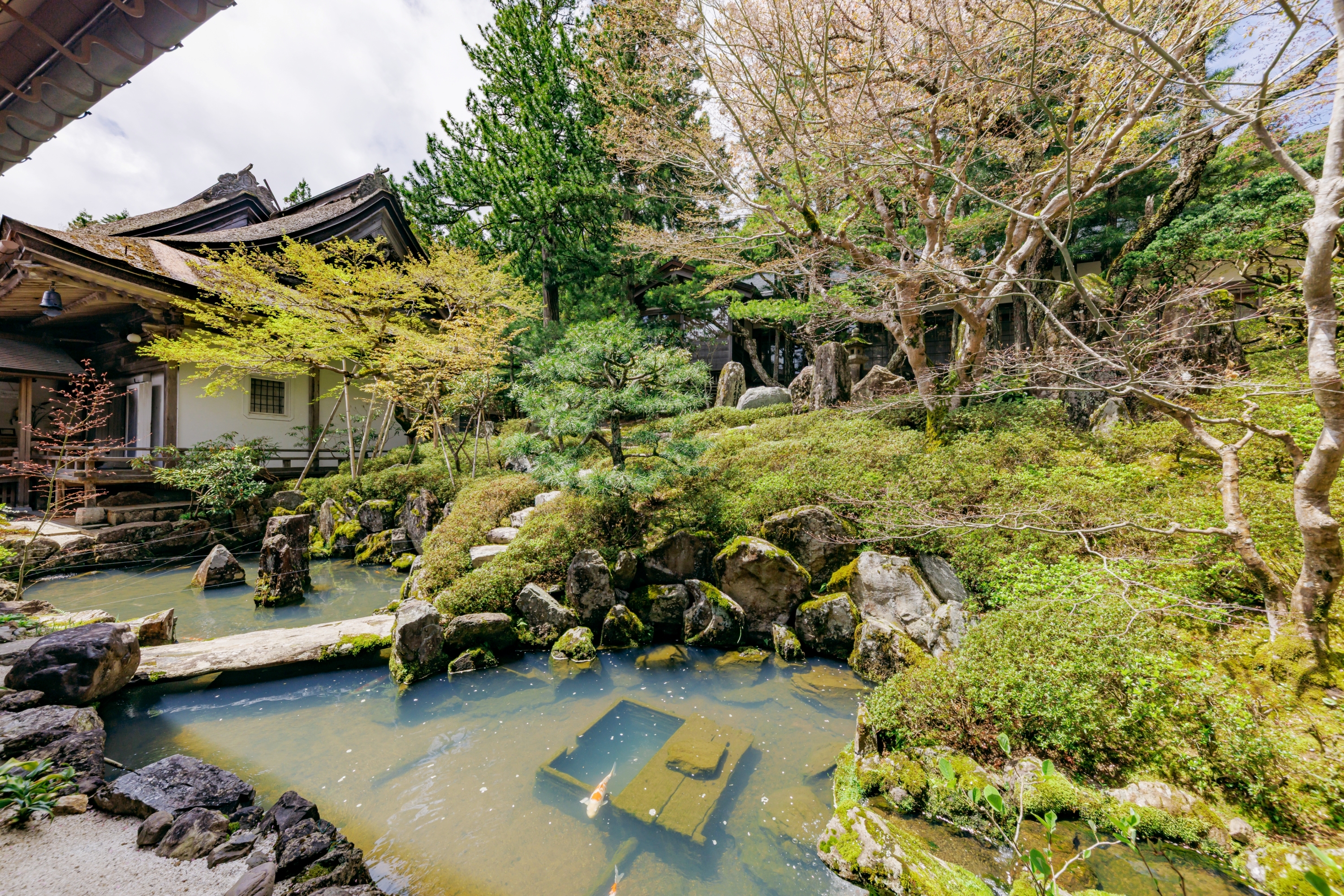 庭園一例