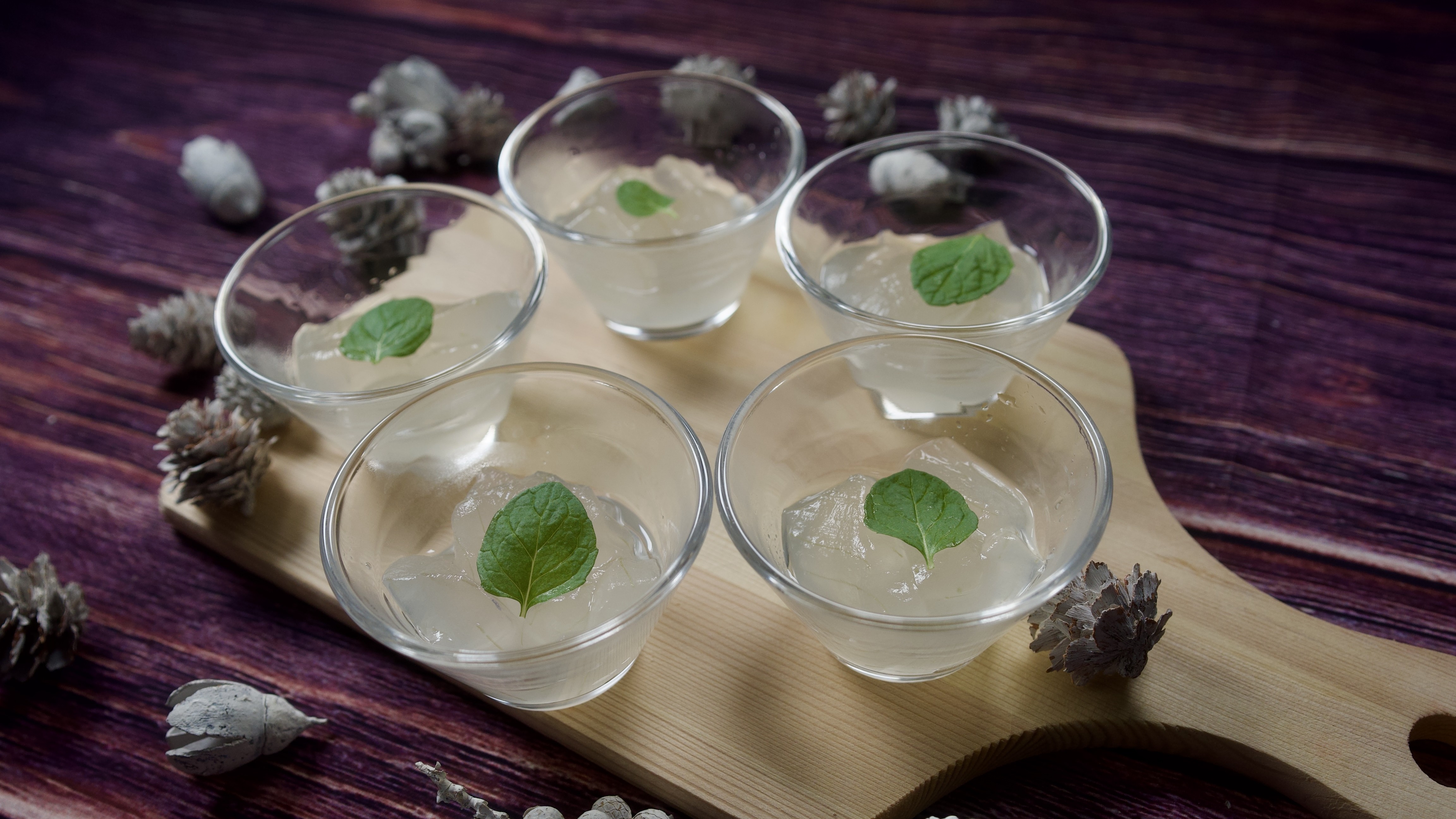 2026年冬　アロエベラ