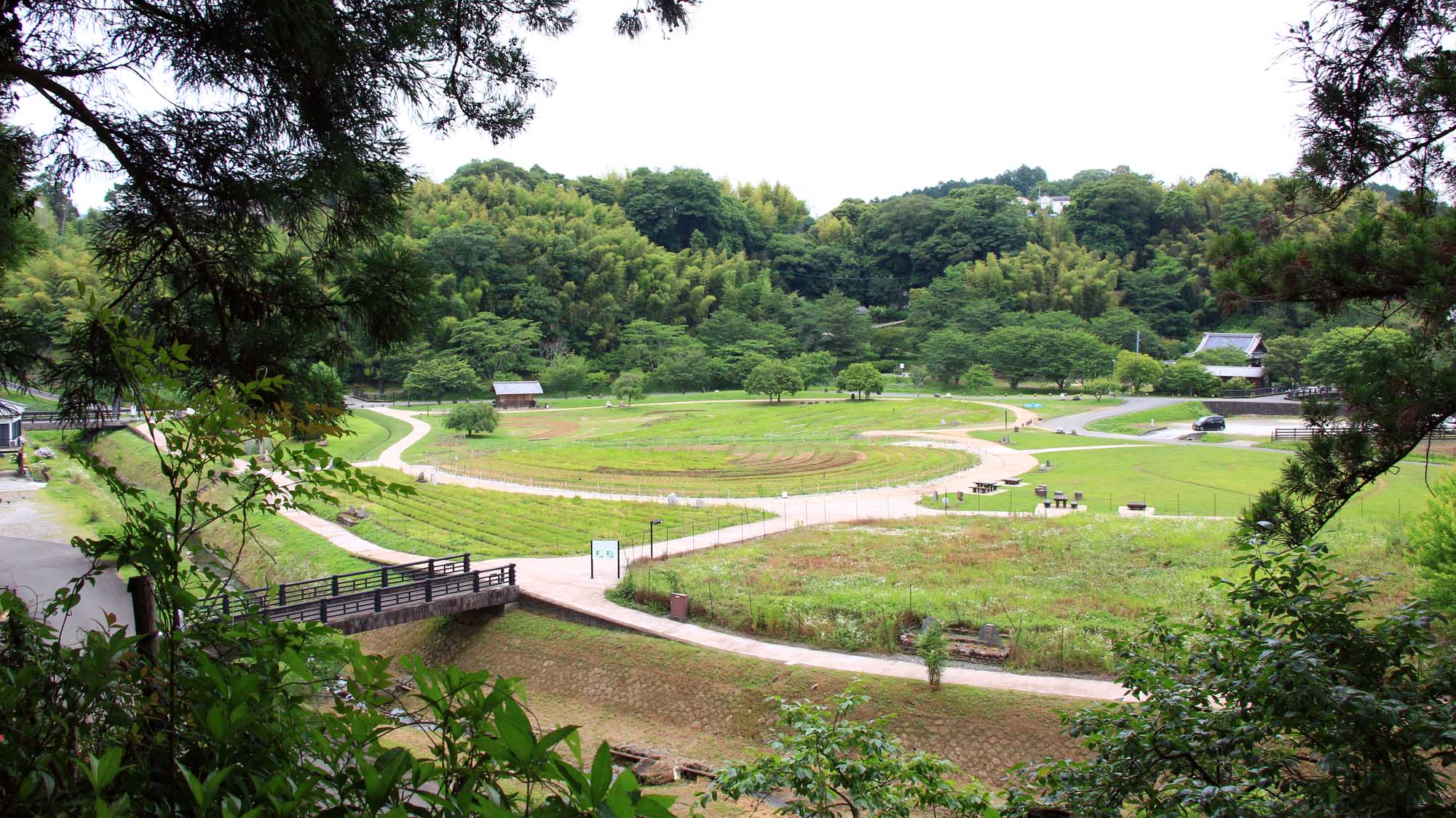 臼杵石仏公園