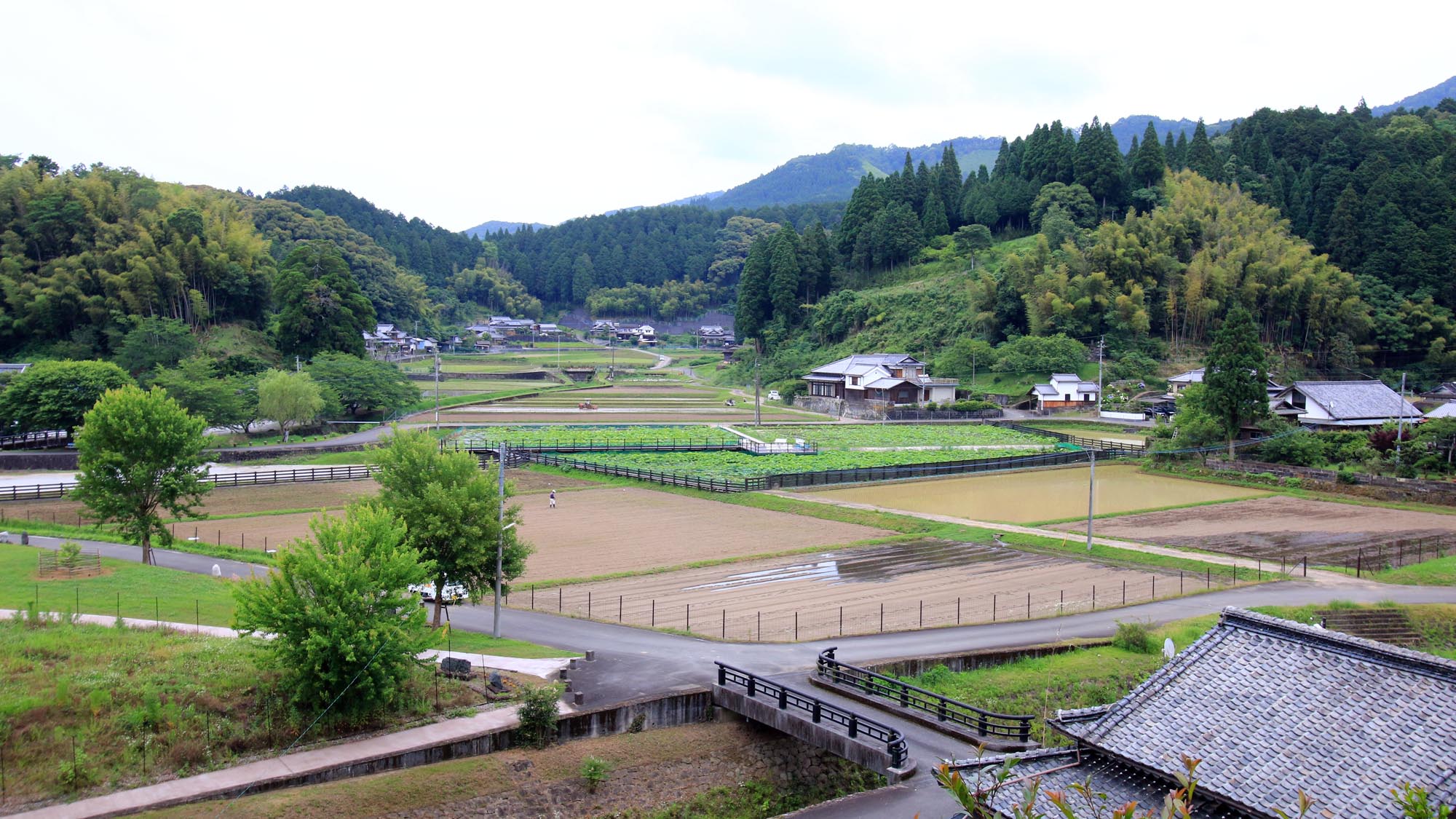 臼杵石仏公園