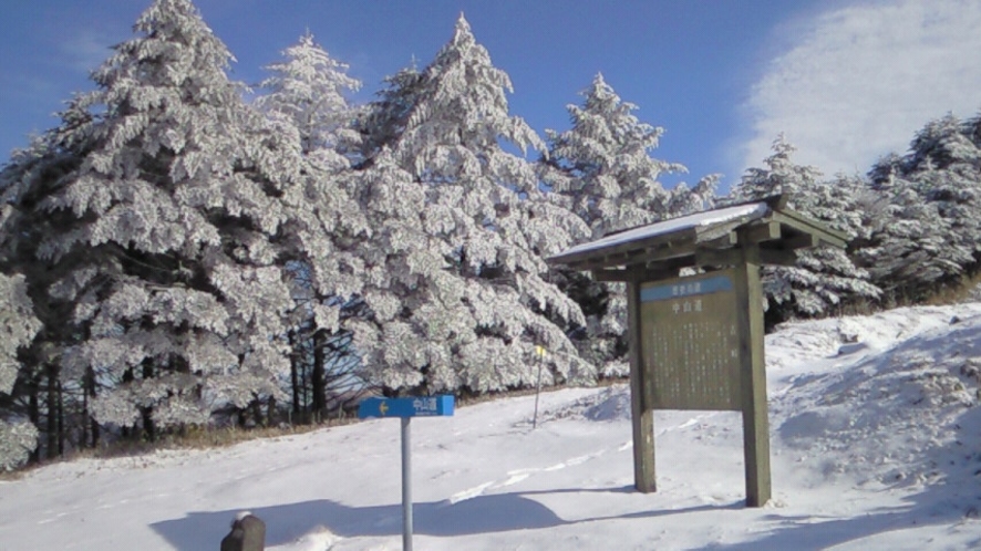 春先の中山道和田峠