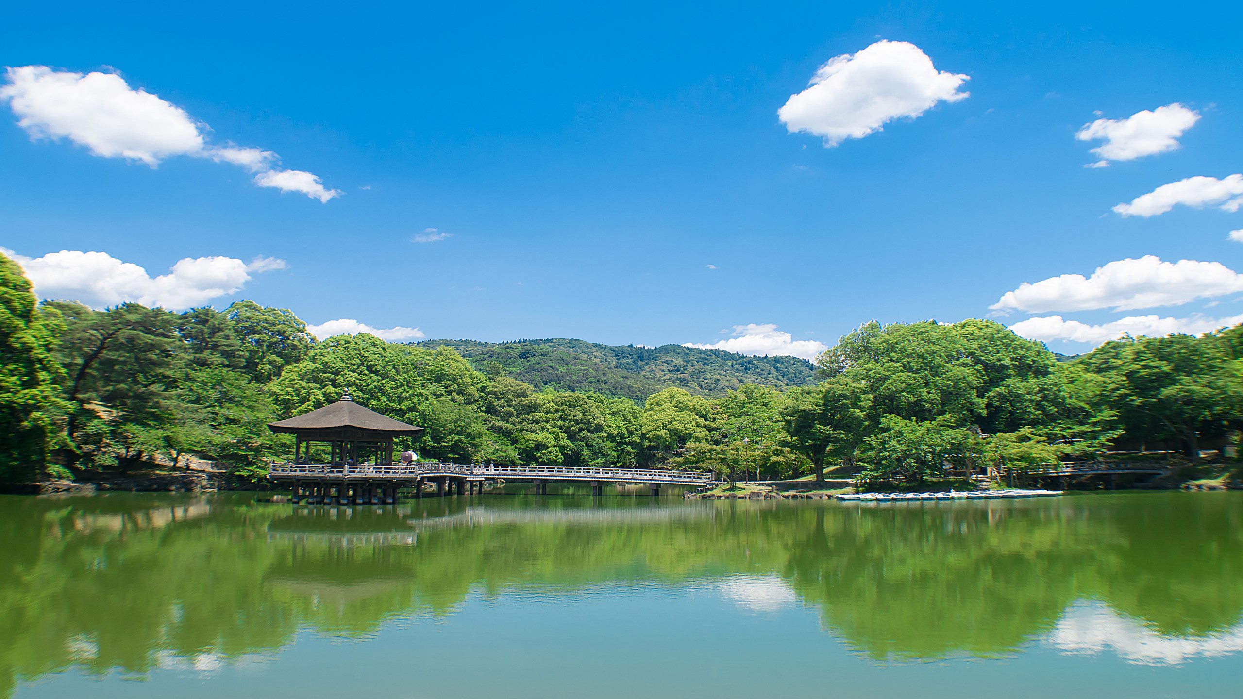 奈良公園　浮御堂