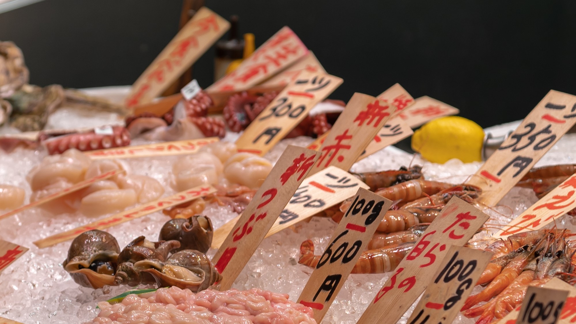 錦市場で新鮮な海鮮を堪能