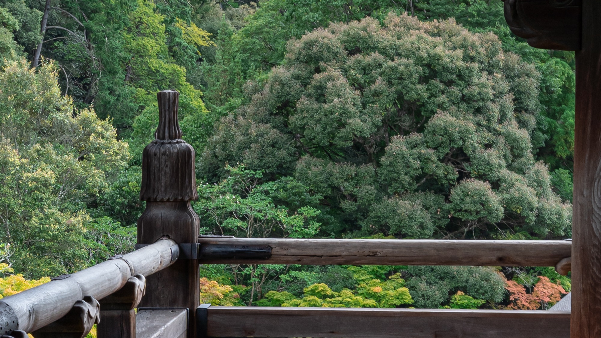 京都三大門の一つ、南禅寺にて心休まるひと時を