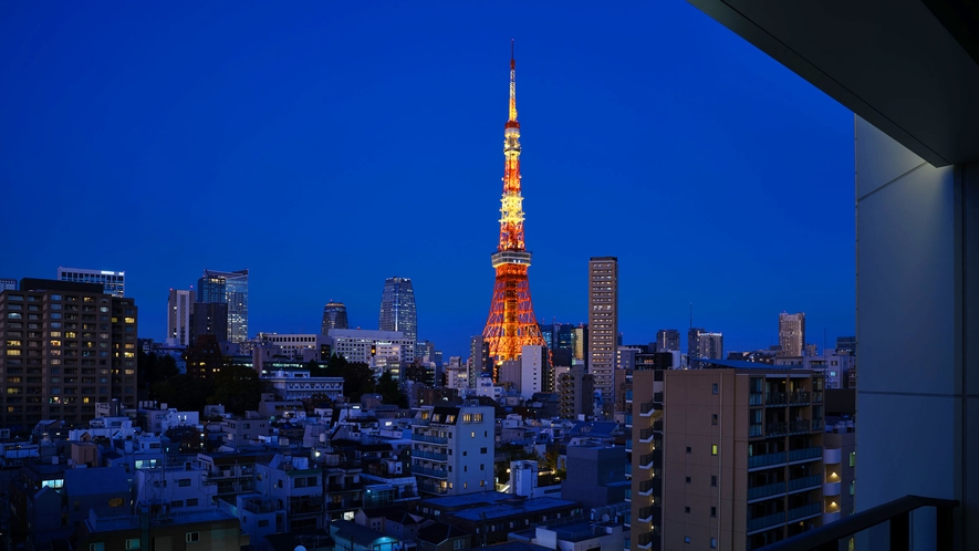 Tokyo Tower View_Night
