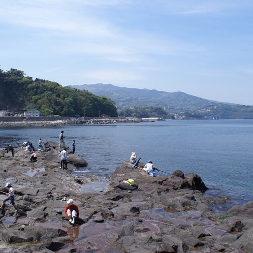 ■真鶴半島■　　琴ヶ浜