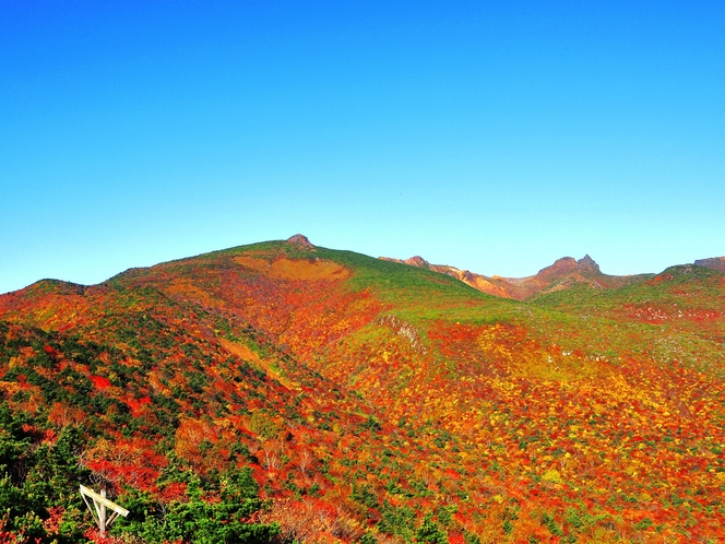 ＊【安達太良山-紅葉】百名山『安達太良山』の紅葉が絶景