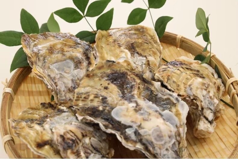 【期間限定・室数限定】糸島産牡蠣☆カキ小屋「住吉丸」☆割引券付きプラン(朝食付き)