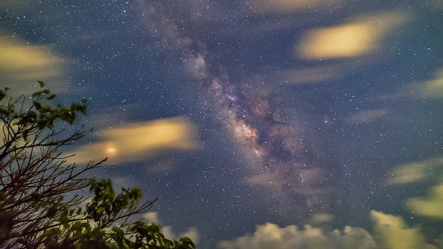 【アクティビティ】星空観賞