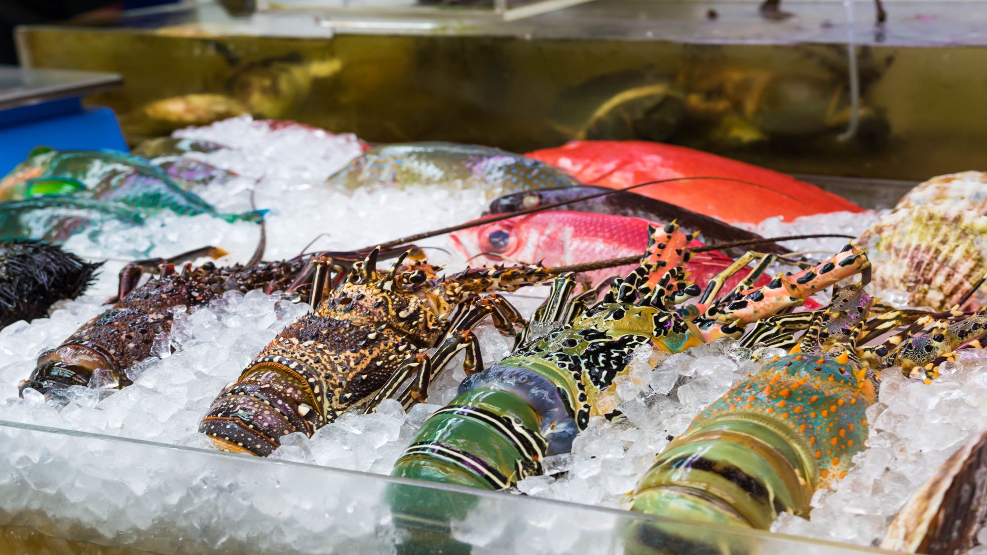 【第一牧志公設市場】当館から車で約29分