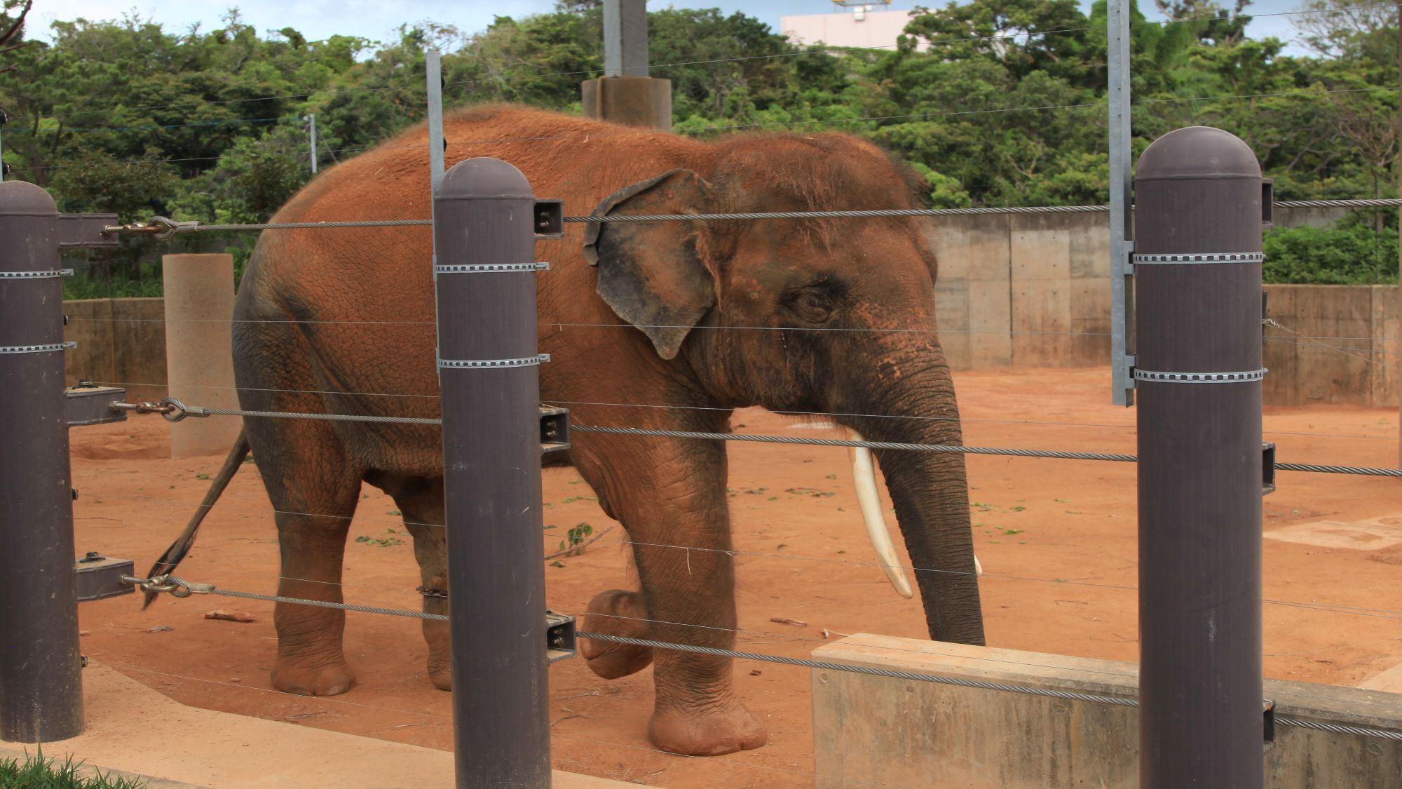 【沖縄こどもの国】当館から車で約23分