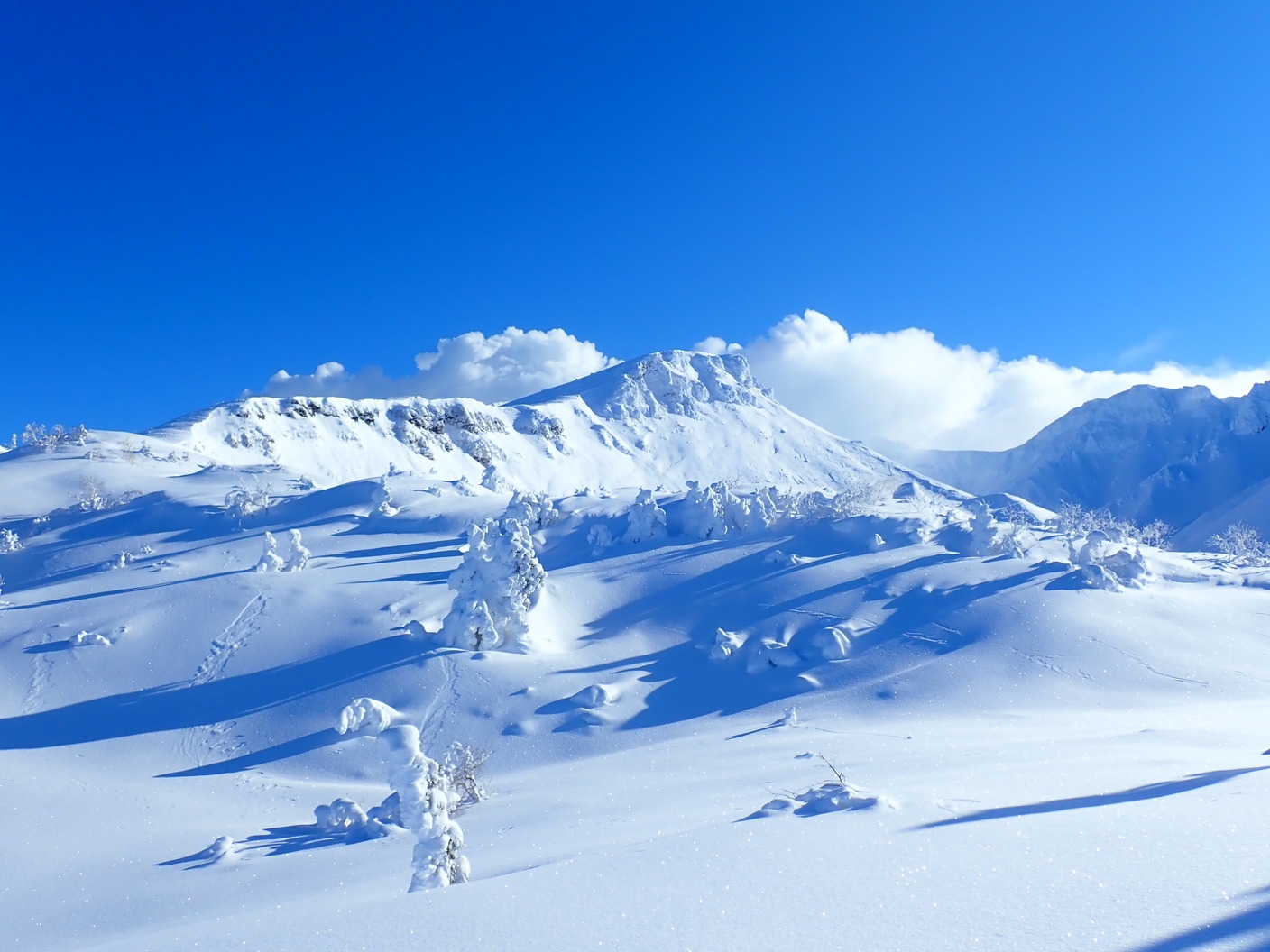 【プライベートツアー】★標高1300mの樹氷や奇岩を見ながらスノーシューで雪原散歩♪【夕朝温泉付き】