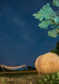 ハンモックと星空