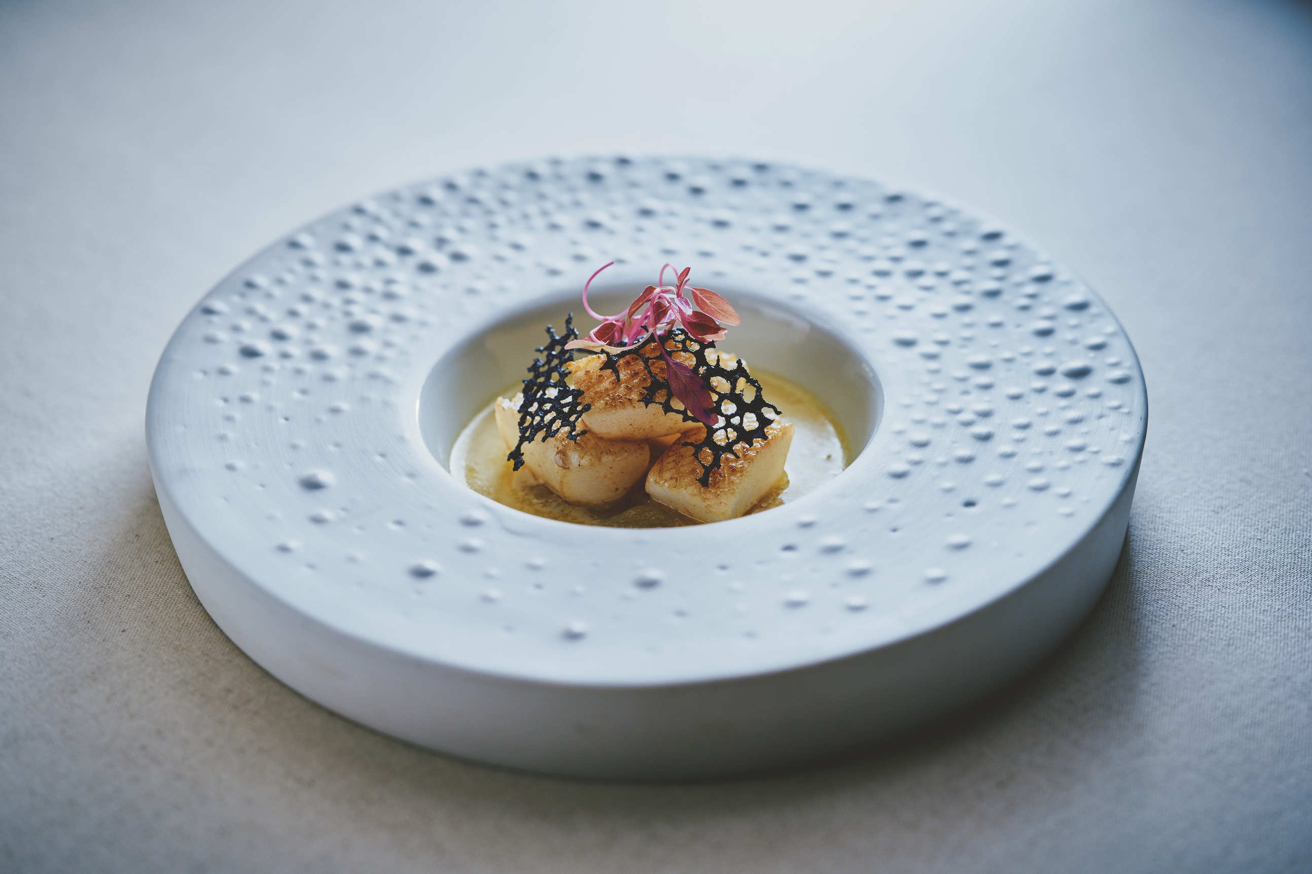 【冬限定】淡路島 3年とらふぐ饗宴コース/ガストロノミーフレンチLa Rose/オールインクルーシブ