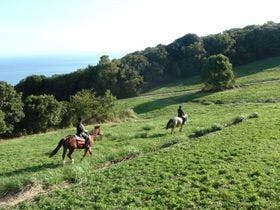 【Aubergeアクティビティ】乗馬体験ハーモニーワールド×フレンチの森プラン（夕朝食付）