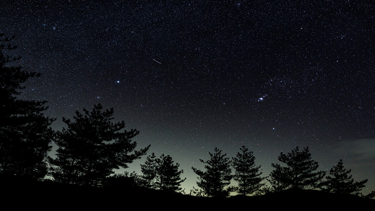 【お日にち限定】春の信州木曽＆美しい星空を漫喫！お得な1泊2食付プラン＜星空ツアー・貸切風呂無料＞