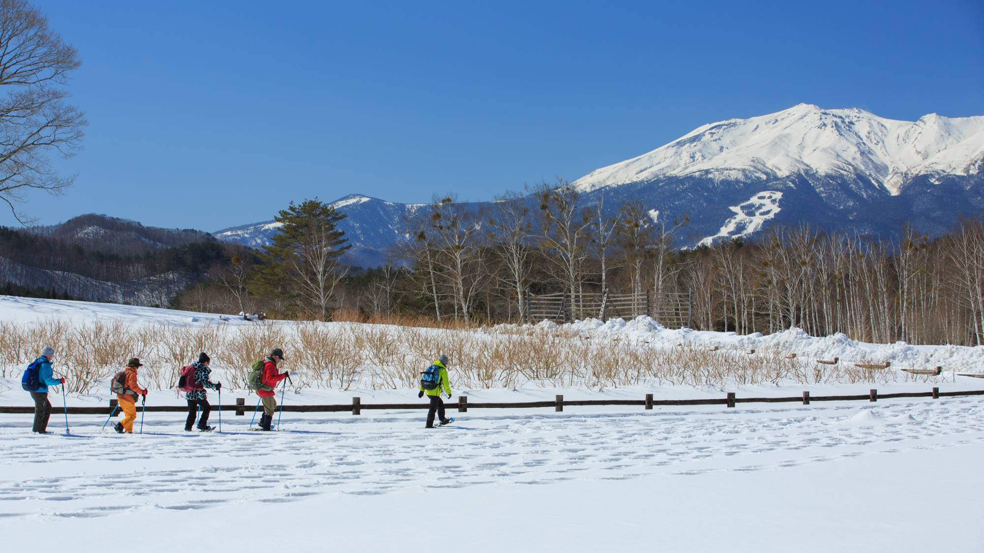 開田高原でスノーシューを楽しむ
