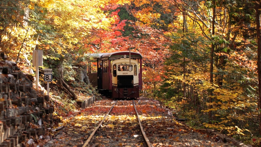 赤沢森林鉄道　紅葉のトンネル