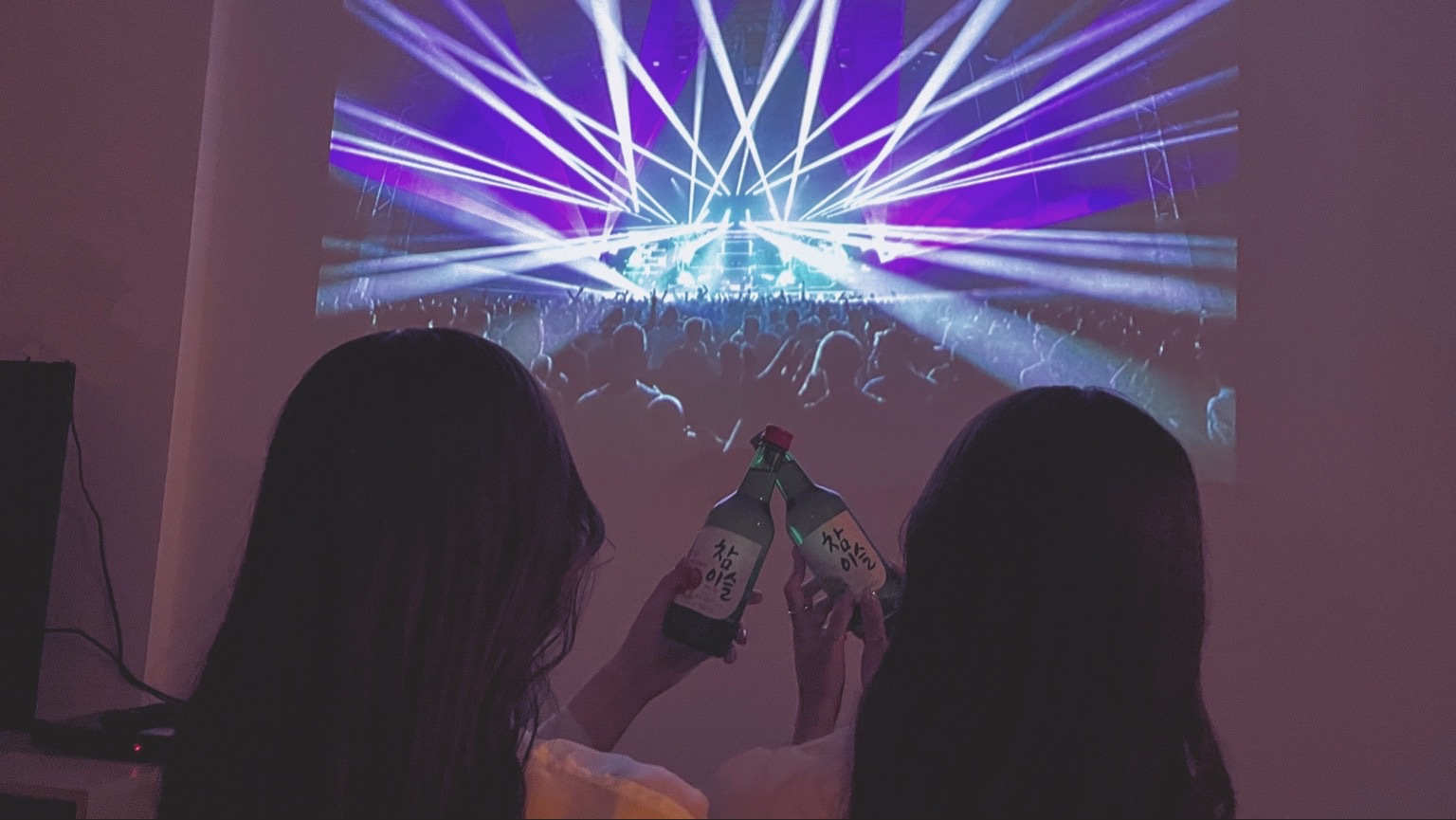 【韓国っぽお泊り会】まるで韓国旅行！ 渡韓ごっこ宿泊プラン★プロジェクター・特典プレゼント付き★