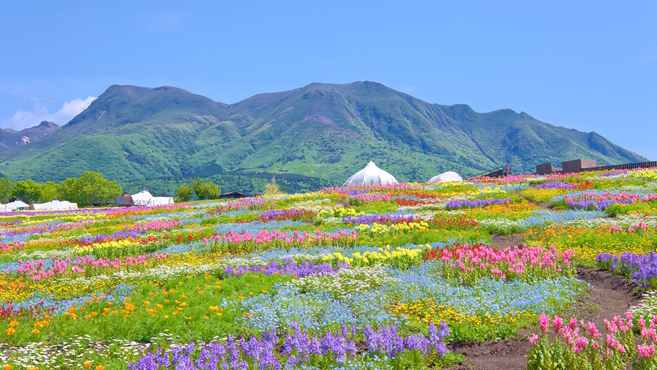 【15％OFF】【楽天スーパーSALE】【絶景×BBQ】花と星の世界で絶景と地元食材を満喫／2食付