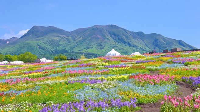 【15％OFF】【楽天スーパーSALE】【絶景×BBQ】花と星の世界で絶景と地元食材を満喫／2食付