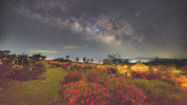 【絶景×BBQ】宿泊者だけの花と星の世界で夜は絶景と地元食材を満喫／2食付き