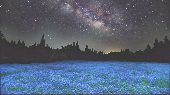 【絶景×BBQ】宿泊者だけの花と星の世界で夜は絶景と地元食材を満喫／2食付き