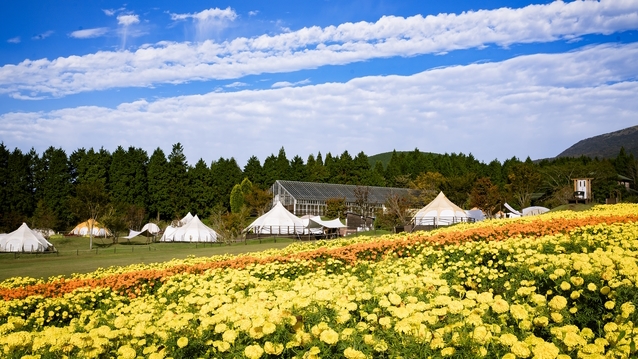 【絶景×BBQ】宿泊者だけの花と星の世界で夜は絶景と地元食材を満喫／2食付き