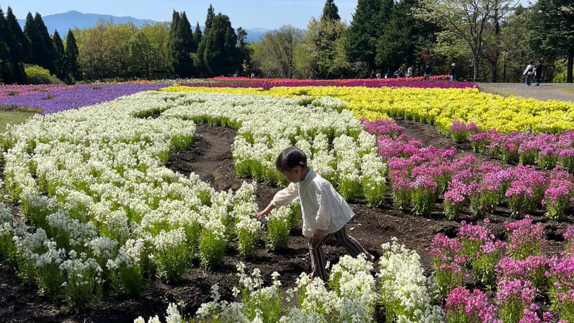 季節毎の彩りと想い出を写真に。
