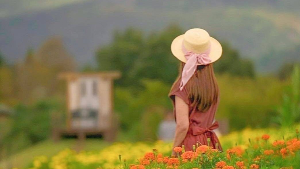 色とりどり花の中で思い出の1枚を。