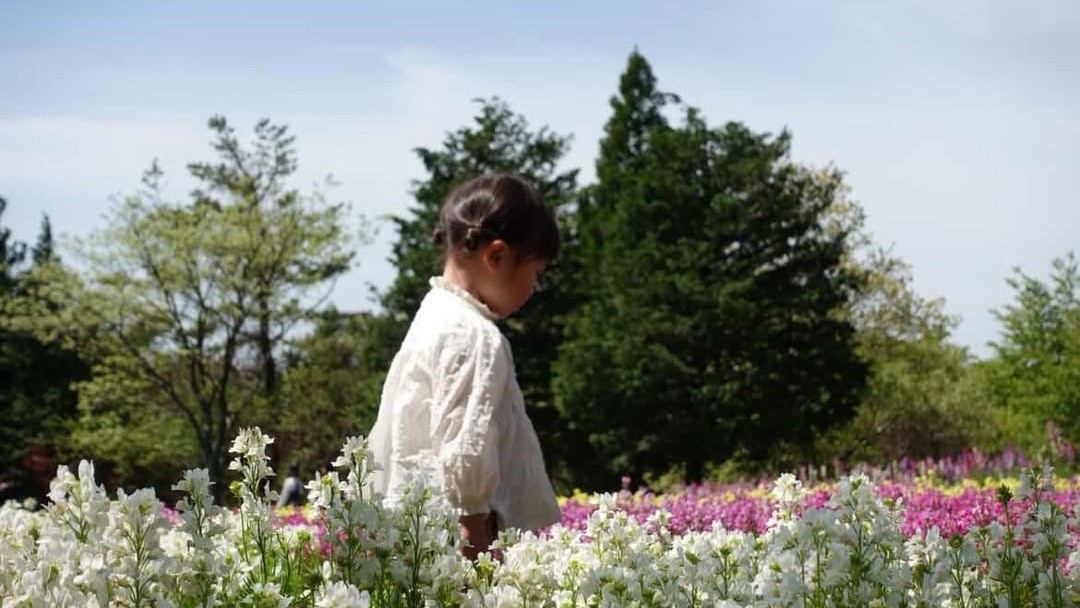 早朝に花畑を独り占め。