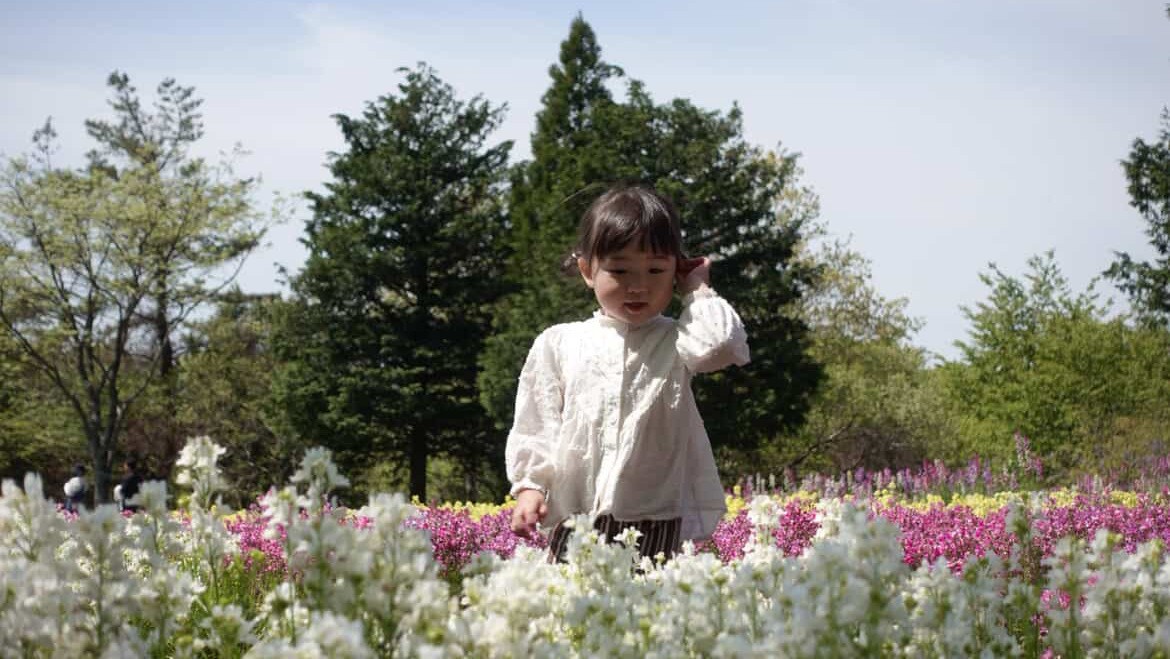 早朝に花畑を独り占め。