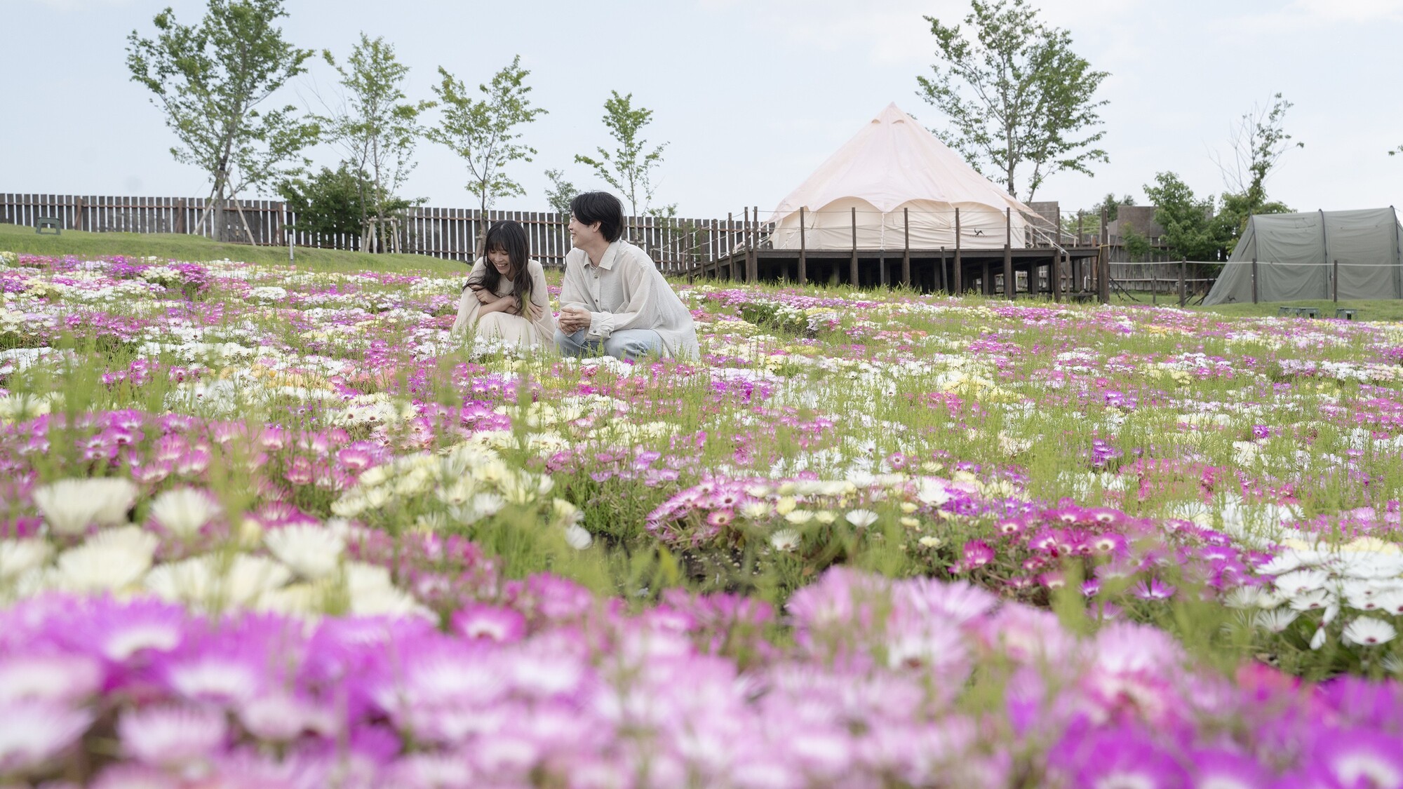 色鮮やかな花畑。