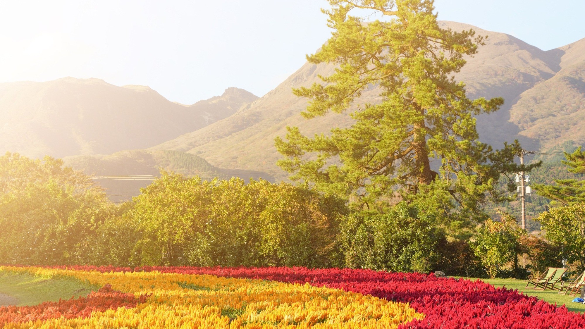 花畑や周辺の山々との美しい風景。