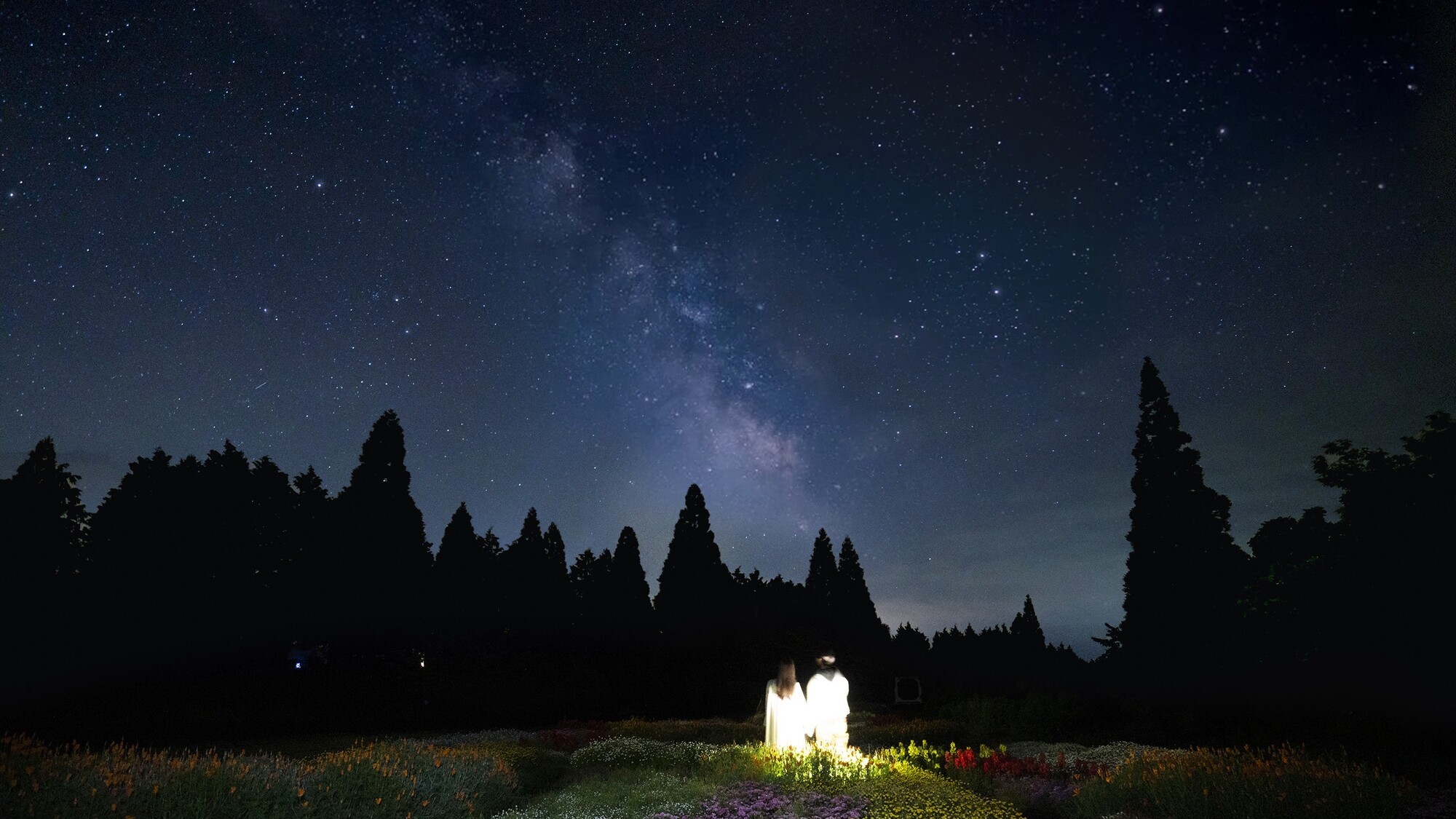 星空と花畑。