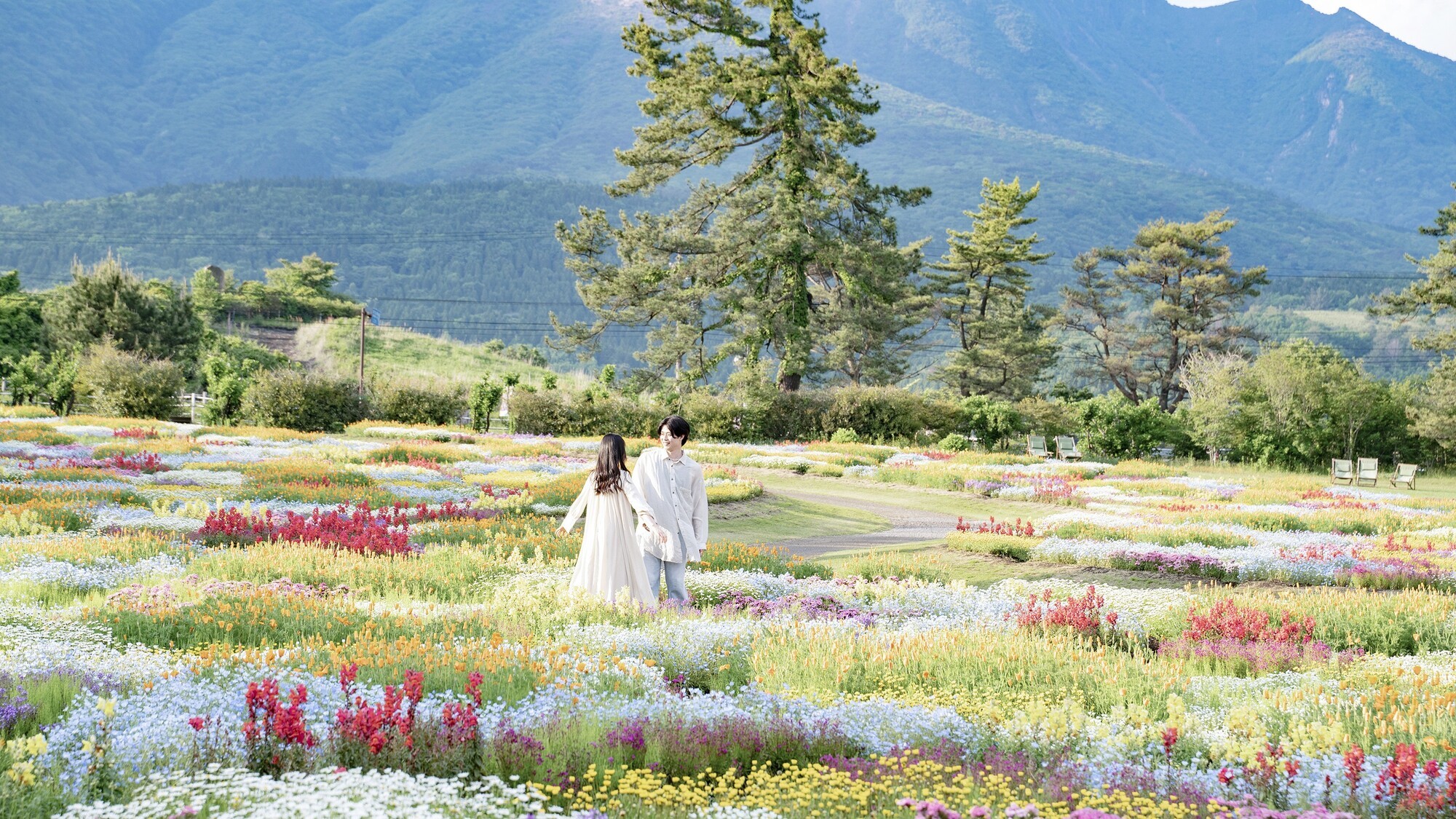 どこまでも広がる色とりどりの花。