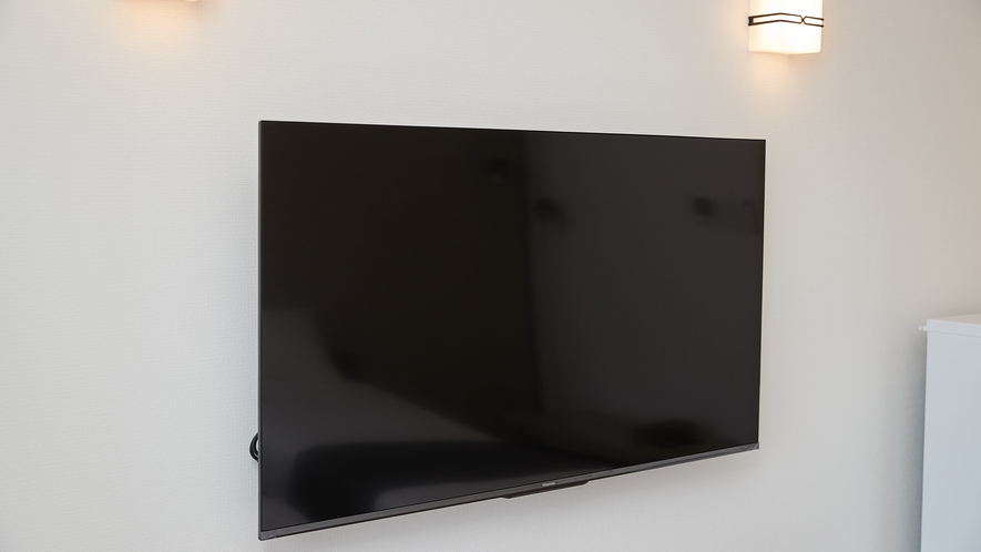 ◆スタンダードダブル／50インチ大型液晶テレビ