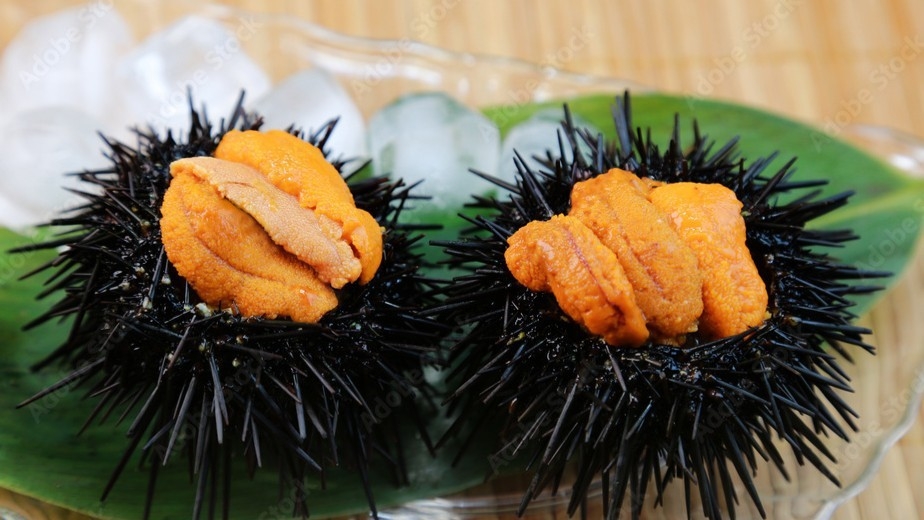 【期間限定】新鮮なウニ付き！関あじ・伊勢海老・豊後牛の会席プラン(１泊２食／朝夕お部屋食)