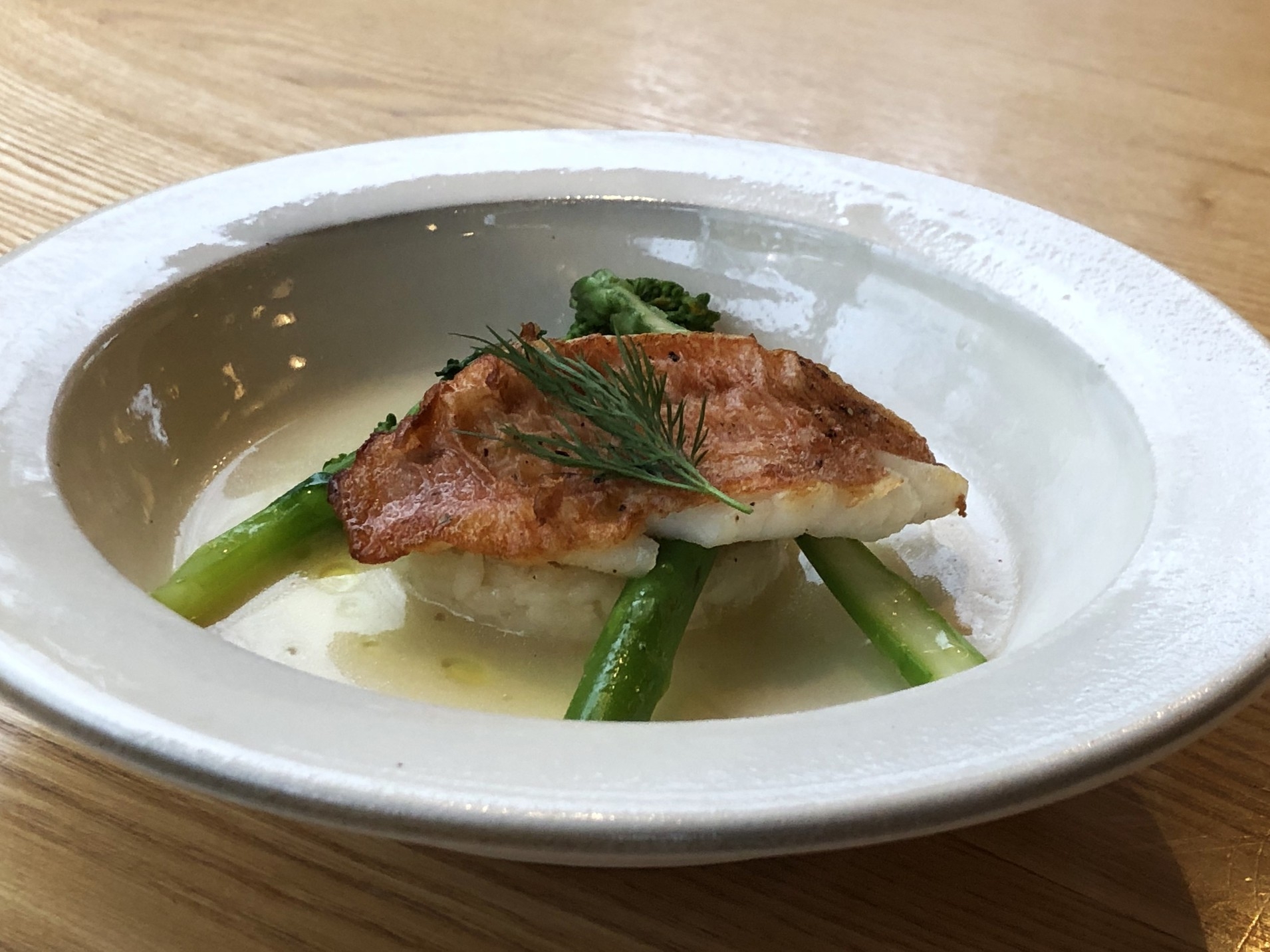 初夏スペシャルプラン 